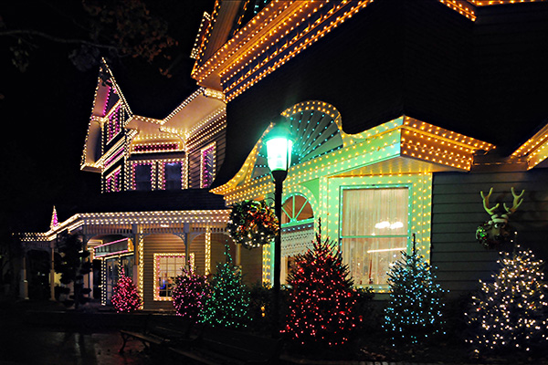 Landscape Lighting